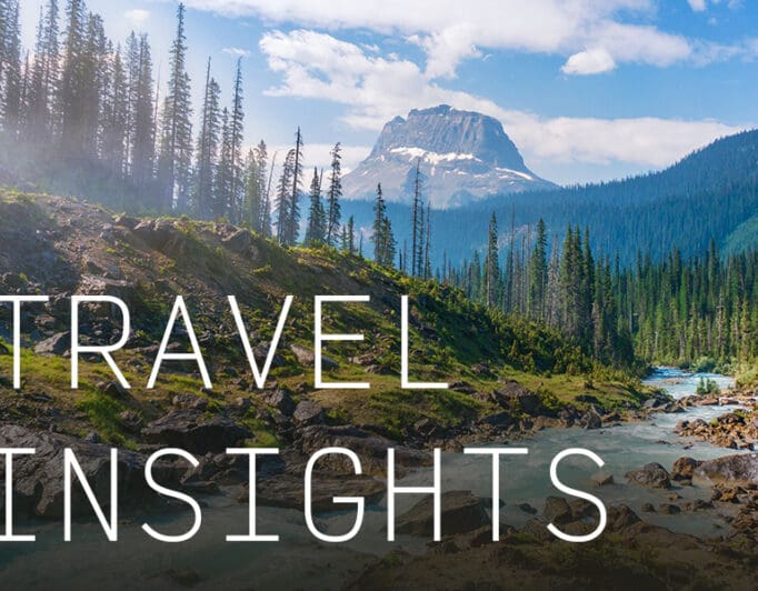 A pine forest with a mountain in the background and the caption "Travel Insights".
