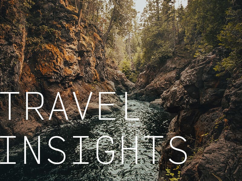 A forest stream with the caption "Travel Insights".