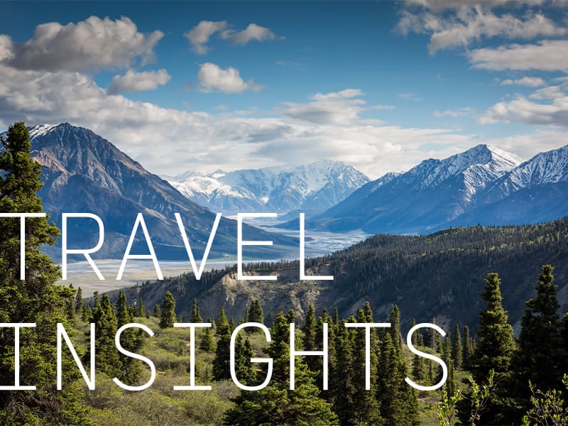 A pine forest bordering a mountainous valley with the caption "Travel Insights".