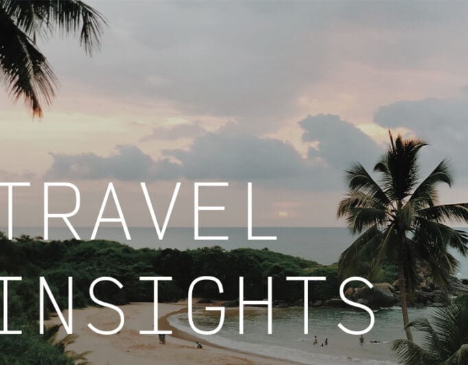 Palm trees on the beach during a cloudy sunset with the caption "Travel Insights".