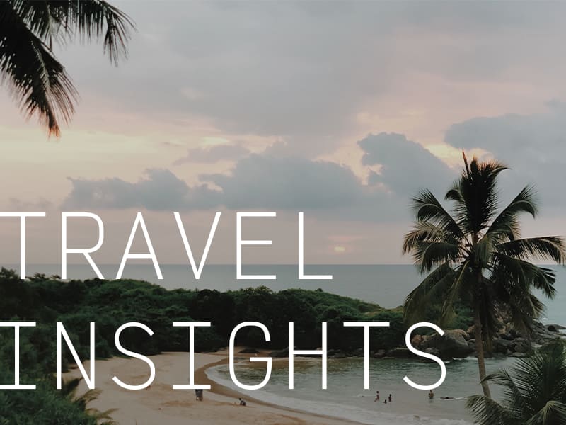 Palm trees on the beach during a cloudy sunset with the caption "Travel Insights".