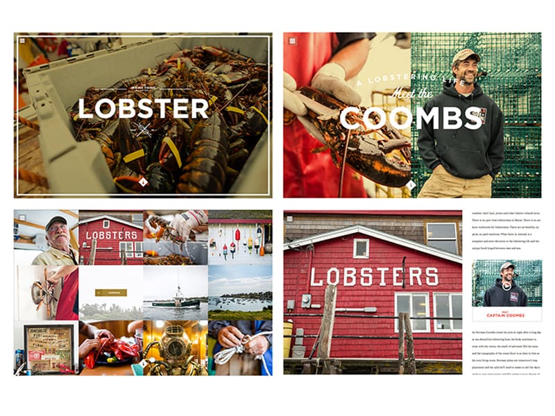 The Maine Thing Quarterly - Lobster