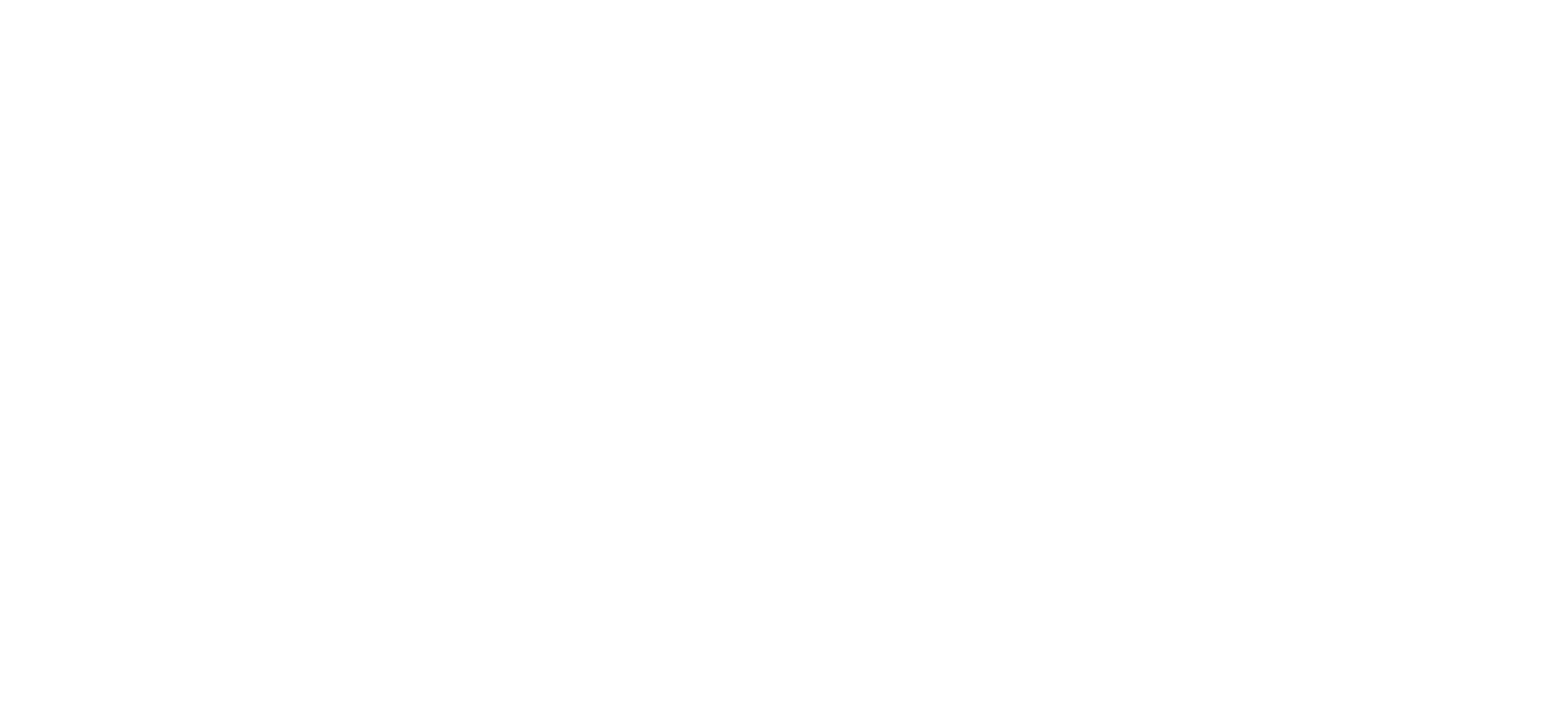 BvK Logo